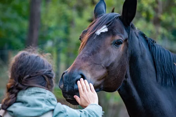 Wildz Kaszinó Támogatás